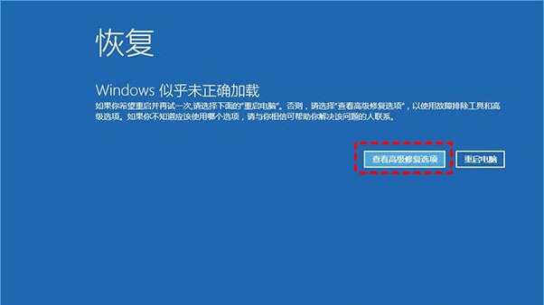 查看高級修復(fù)選項